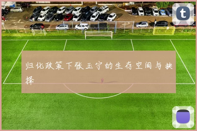 归化政策下张玉宁的生存空间与抉择