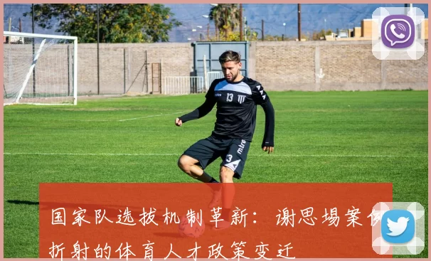 国家队选拔机制革新：谢思埸案例折射的体育人才政策变迁