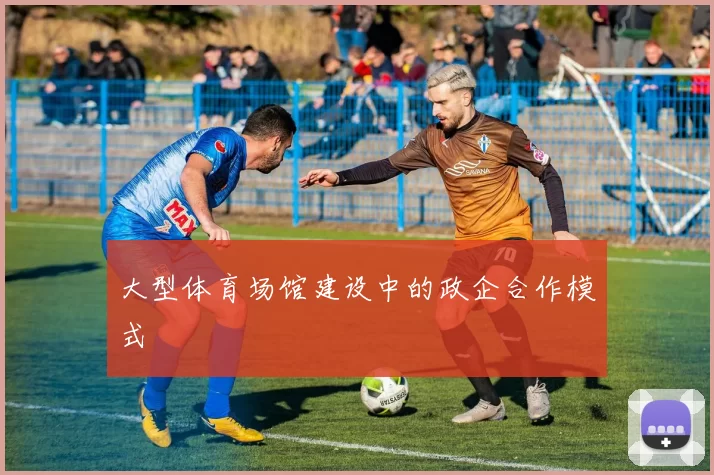 大型体育场馆建设中的政企合作模式