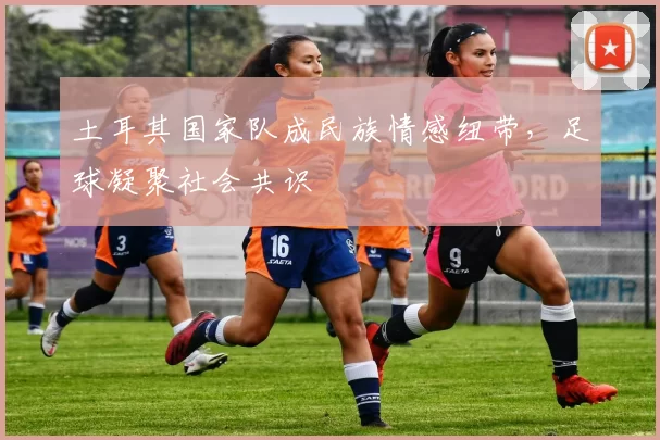 土耳其国家队成民族情感纽带，足球凝聚社会共识