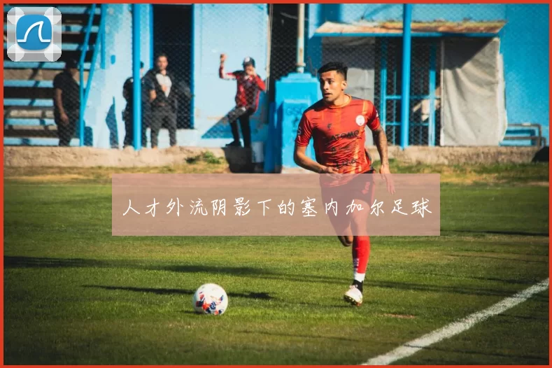 人才外流阴影下的塞内加尔足球